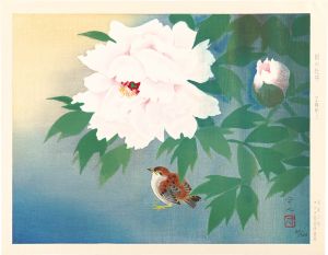 Kudo Kojin / Peony in Rain