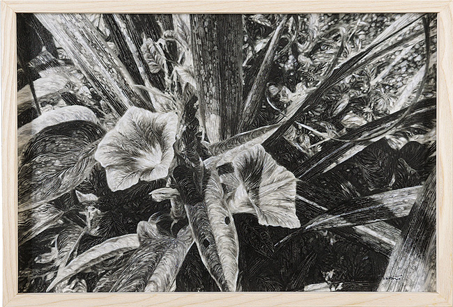 Tsutsumi Asuka “Japan light darkness 05”