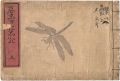 Yamato Nishiki / Volume 5