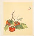 persimmons (tentative title)
