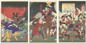 鹿児島征討戦記