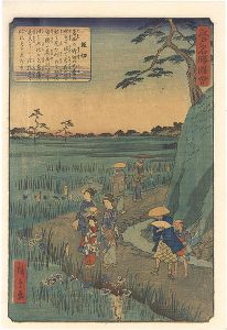Hiroshige II / Views of Famous Places in Edo / Horikiri [江戸名勝図会　堀切]