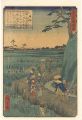 Views of Famous Places in Edo ......