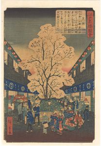 Hiroshige II / Views of Famous Places in Edo / Yoshiwara [江戸名勝図会　吉原]