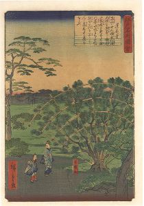 Hiroshige II / Views of Famous Places in Edo / Rengeji Temple [江戸名所図会　蓮花寺]