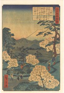 Hiroshige II / Views of Famous Places in Edo / Sendagaya [江戸名所図会　千駄ヶ谷]
