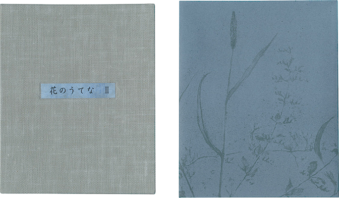 「オリジナル石版画集 花のうてな III」清水洋子