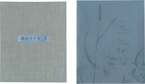 Shimizu Yoko / Twelve Flowers III