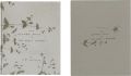 THE FLOWER BOOK OF THE EARLY S......