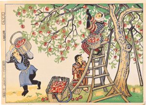 Katsuhira Tokushi / Apples
