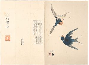 鳩居堂 包紙