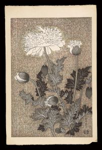 芥子