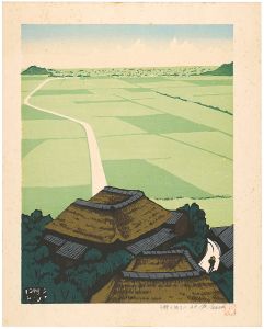Unno Mitsuhiro / Beyond the Hirano / Shiraishi Plain Saga Fields