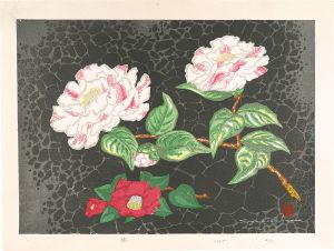 Inoue Toyohisa / Camellia
