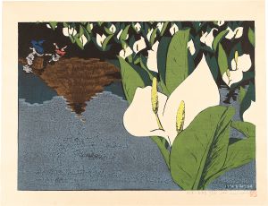 Unno Mitsuhiro / Illusion of Kinasa