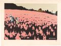 Cape of flower garden