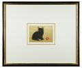 Black cat（Winter）