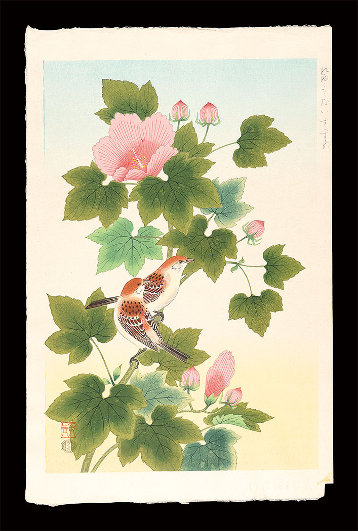 Ashikaga Shizuo “Cinnamon Sparrows”