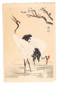 Kotozuka Eiichi / Cranes (tentative title)