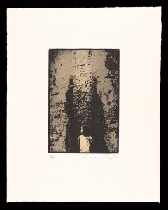 Ikeda Ryoji / Wound,1980