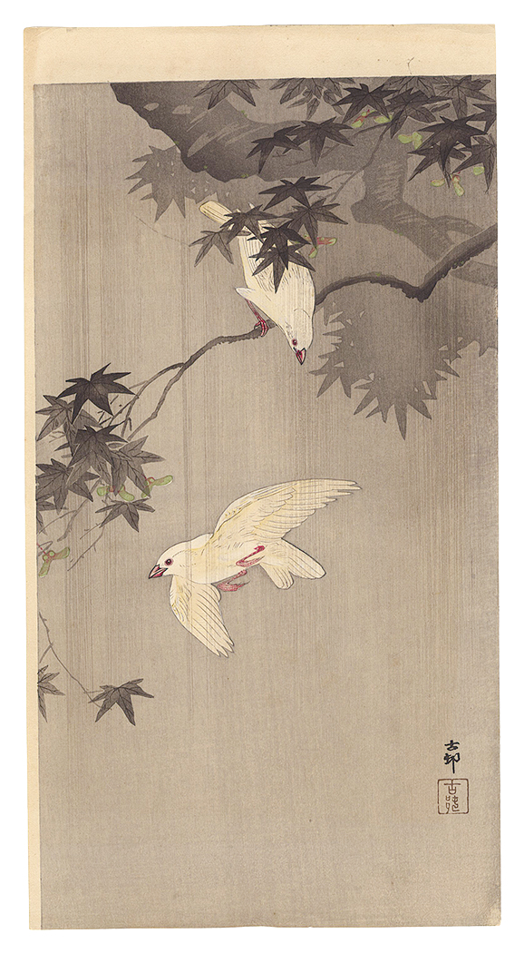 Ohara Koson(Shoson) “Java Sparrows with Green Maple in Rain”