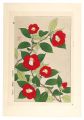 Floral Calendar of Japan / Cam......