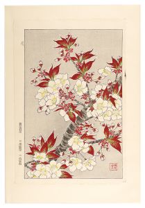 河原崎奨堂「日本の花こよみ　サクラ（桜）」