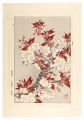 Floral Calendar of Japan / Che......