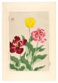 Floral Calendar of Japan / Tul......