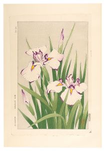 Kawarazaki Shodo / Floral Calendar of Japan / Iris