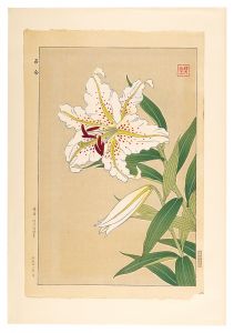 Kawarazaki Shodo / Floral Calendar of Japan / Lily