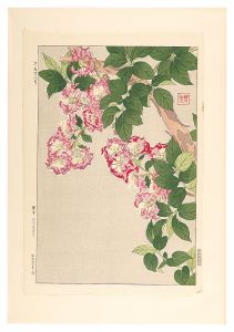 Kawarazaki Shodo / Floral Calendar of Japan / Crape myrtle