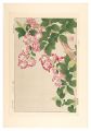 Floral Calendar of Japan / Cra......