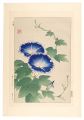 Floral Calendar of Japan / Mor......