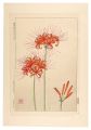 Floral Calendar of Japan / Hur......