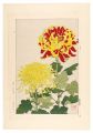 Floral Calendar of Japan / Chr......