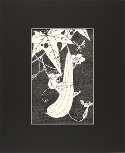 Jakuchu / Flowers of the Kunlun Mountains / Gourd 【Reproduction】 [玄圃瑤華　糸瓜【復刻版】]