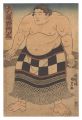 Sumo Wrestler Musashino Monta