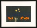 Flower of Venus Comb (2)