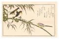 Myriad Birds: A Kyoka Competit......