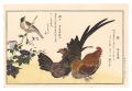 Myriad Birds: A Kyoka Competit......