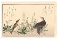 Myriad Birds: A Kyoka Competit......