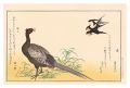 Myriad Birds: A Kyoka Competit......