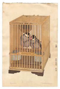 文鳥