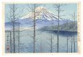 Thirty-Six Views of Mt. Fuji /......