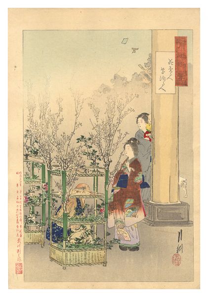 Gekko “Gekko's Miscellany / People Who Sell Flowers and People Who Arrange Flowers”