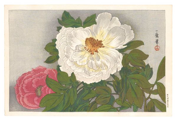 織田一磨「牡丹」