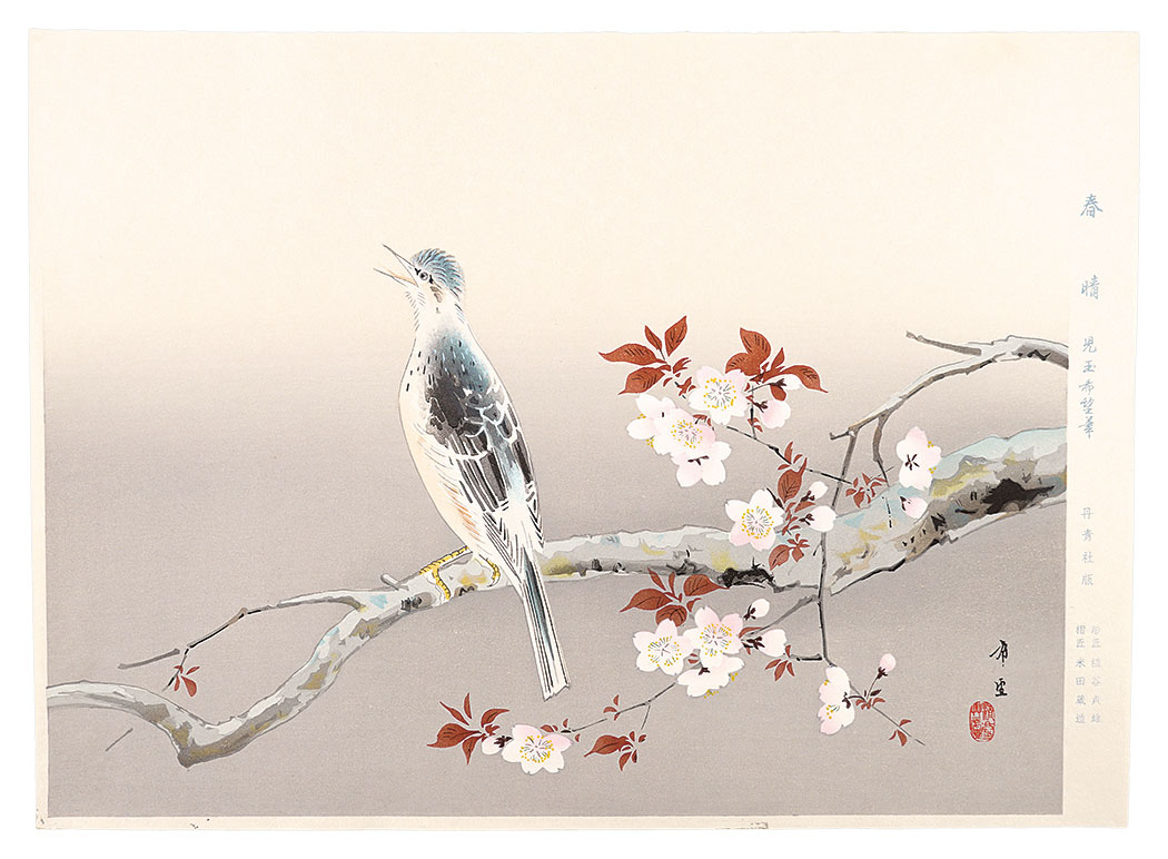 児玉希望「春晴」