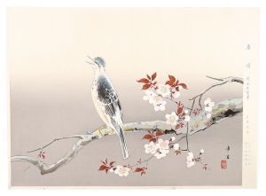 児玉希望「春晴」