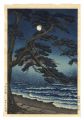 Enoshima in the Moonlight